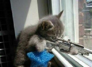 Tips para que tu Mascota no se Aburra cuando está Sola en Casa