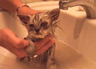 ¿Qué es la congelación?