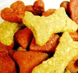 Receta de galletas de atún para gatos