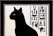 Gatos Bastet
