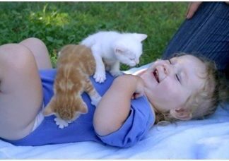 Tener un gato en casa ¿Mejora la salud?