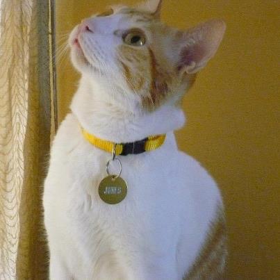 387070_485488024803009_2035614306_n