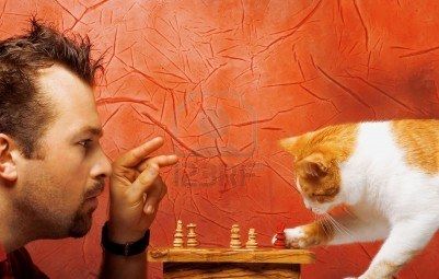 4489778-dos-jugadores-de-ajedrez-el-hombre-y-el-gato