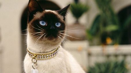 8kG4BzvfrACVZYcMH4dagzl72eJkfbmt4t8yenImKBVaiQDB_Rd1H6kmuBWtceBJ