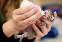 Lección 1: La responsabilidad que implica