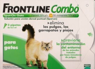 Eliminar las Pulgas de tu Gato eliminar pulgas gato