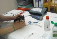 Identificación de los gatos con microchip