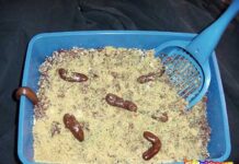 RECETA: Torta que parece un sanitario con caca de gato Torta que parece un sanitario de gato