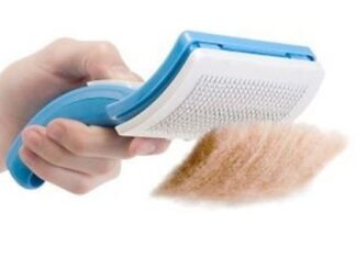 Tips Para Cepillar El Pelo De Tu Gato