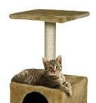 Consejos para que tu Gato no Arañe los Muebles