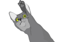 Test ¿qué tipo de gato eres?