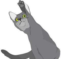 Test ¿qué tipo de gato eres?