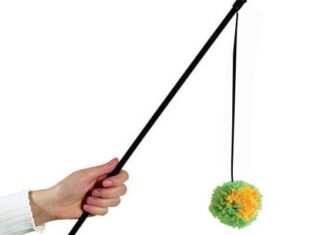 Juguetes Que Puedes Hacer Para Tu Gato