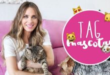 Conoce a los Gatos de Vanesa Romero Conoce a los Gatos de Vanesa Romero