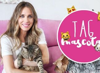 Conoce a los Gatos de Vanesa Romero Conoce a los Gatos de Vanesa Romero