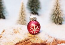 Cómo Proteger el Árbol de Navidad frente al Gato Cómo Proteger el Árbol de Navidad frente al Gato