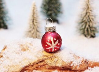 Cómo Proteger el Árbol de Navidad frente al Gato Cómo Proteger el Árbol de Navidad frente al Gato