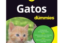 Libros Recomendados: Gatos para Dummies Libros Recomendados: Gatos para Dummies