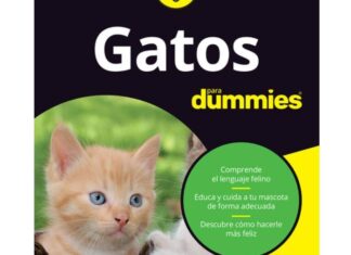 Libros Recomendados: Gatos para Dummies Libros Recomendados: Gatos para Dummies