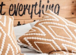 Miso, el Gato de Macarena Gea, Vuelve a Casa Miso, el Gato de Macarena Gea, Vuelve a Casa