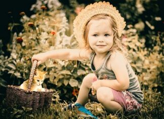 Vídeo Divertido de Gatos y Bebés Vídeo Divertido de Gatos y Bebés