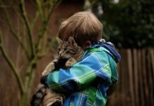 Cómo Inculcar en tus Hijos el Respeto a los Gatos Cómo Inculcar en tus Hijos el Respeto a los Gatos