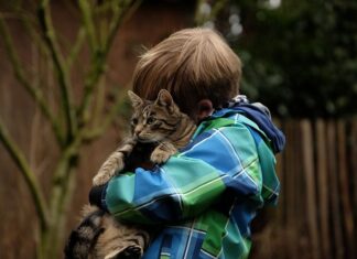 Cómo Inculcar en tus Hijos el Respeto a los Gatos Cómo Inculcar en tus Hijos el Respeto a los Gatos