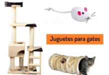 5 Juguetes para Gatos y Gatitos Juguetes para Gatos