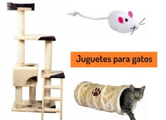 5 Juguetes para Gatos y Gatitos Juguetes para Gatos
