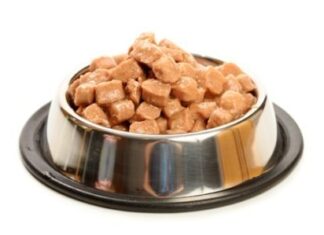 Más consejos para ALIMENTACIÓN DE GATOS