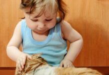 Beneficios para los niños de TENER UN GATO