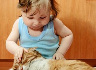 Beneficios para los niños de TENER UN GATO