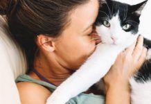 Pautas para mejorar la convivencia con tu gato