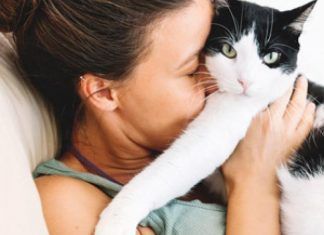 Pautas para mejorar la convivencia con tu gato