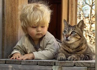 Gatos y niños pequeños, ¿buena compañía?