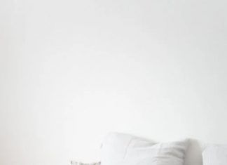 Consejos para el cuidado y la atención de un gato persa