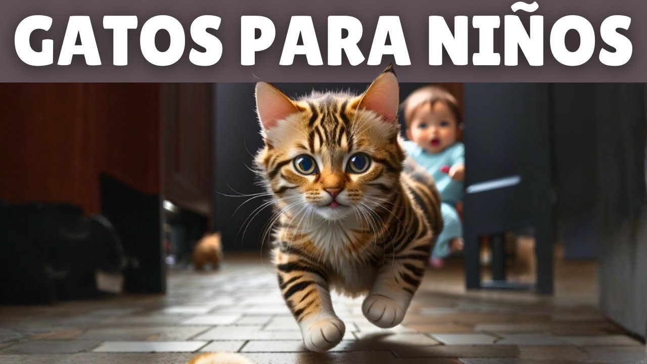 10 Mejores Razas de Gatos para Niños 🐾 Cómo Elegir al Compañero ...